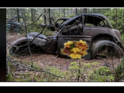 Annonsbild
