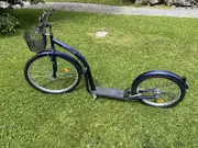 Annonsbild