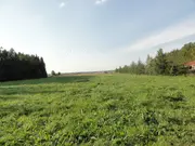 Annonsbild