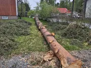 Annonsbild