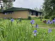 Annonsbild