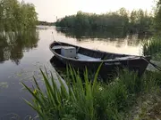 Annonsbild