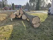 Annonsbild