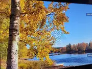 Annonsbild
