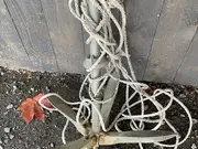 Annonsbild