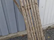 Annonsbild