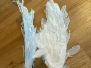 Annonsbild