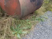 Annonsbild