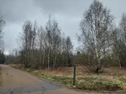 Annonsbild