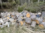 Annonsbild