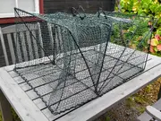 Annonsbild