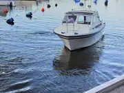 Annonsbild