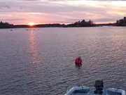Annonsbild