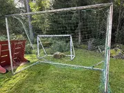 Annonsbild