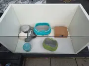 Annonsbild