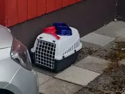 Annonsbild