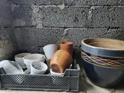 Annonsbild
