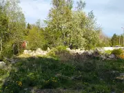 Annonsbild