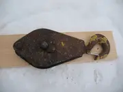 Annonsbild