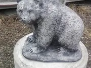 Annonsbild