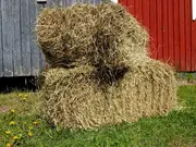 Annonsbild