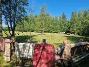 Annonsbild