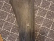 Annonsbild