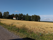 Annonsbild