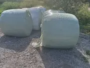 Annonsbild