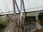 Annonsbild