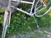 Annonsbild