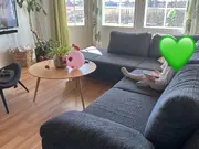 Annonsbild