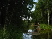 Annonsbild