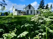 Annonsbild