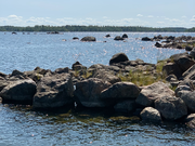 Annonsbild
