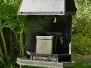 Annonsbild