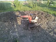 Annonsbild