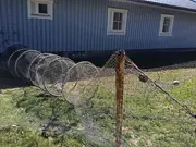 Annonsbild