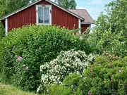 Annonsbild