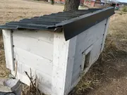 Annonsbild