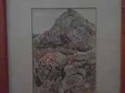 Annonsbild