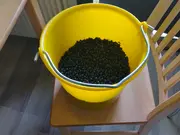 Annonsbild