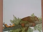 Annonsbild