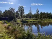Annonsbild