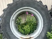 Annonsbild