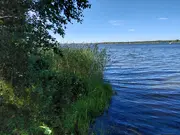 Annonsbild