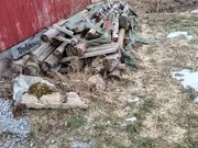Annonsbild