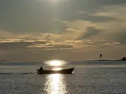 Annonsbild