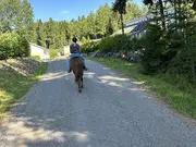 Annonsbild