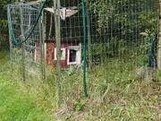 Annonsbild